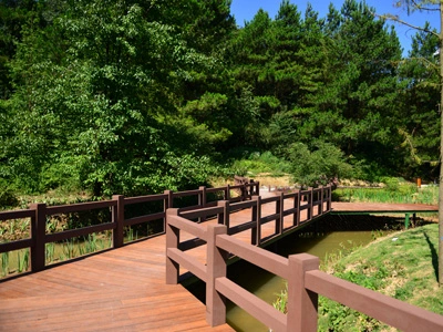 Chongqing-Wansheng Black Mountain Valley Ordovician Park Trestle